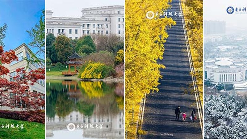 电子科技研发与销售：揭秘企业核心能力**