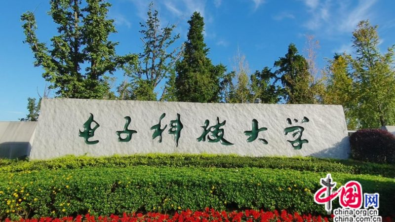 二极管定制：揭秘定制厂家的核心考量因素