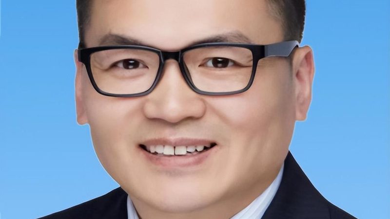 单片机电子模块：揭秘十大品牌背后的技术实力